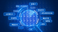 多模态大模型产品亮相，海康威视发布文搜存储系列产品(图2)